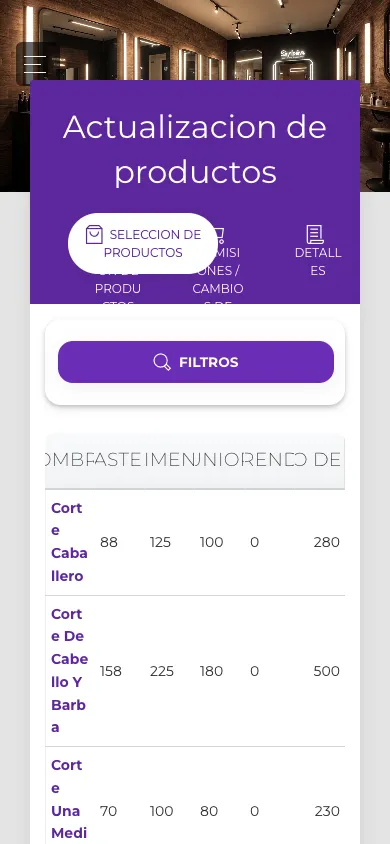 Actualización masiva de productos en vista móvil