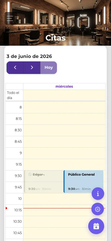 Vista móvil de la agenda