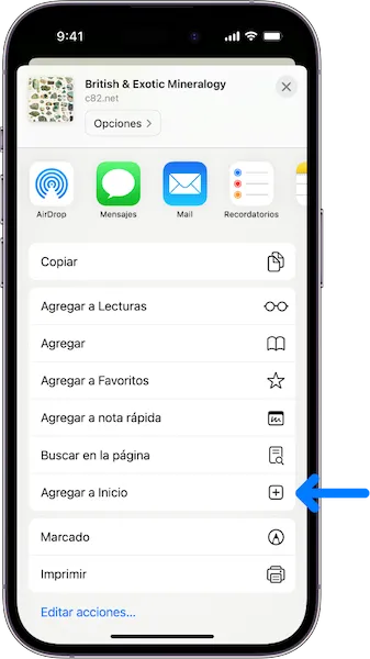 Agregar Styler a la pantalla de inicio en iOS