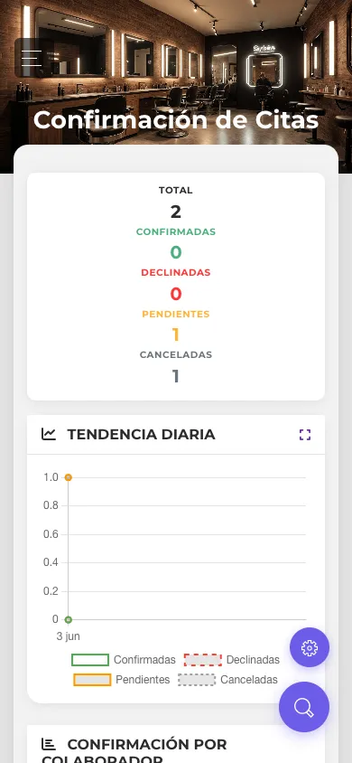 Reporte de confirmación de citas en vista móvil